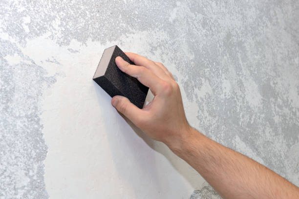 Best HVAC Mold Inspection and Cleaning  in Rosemount, MN