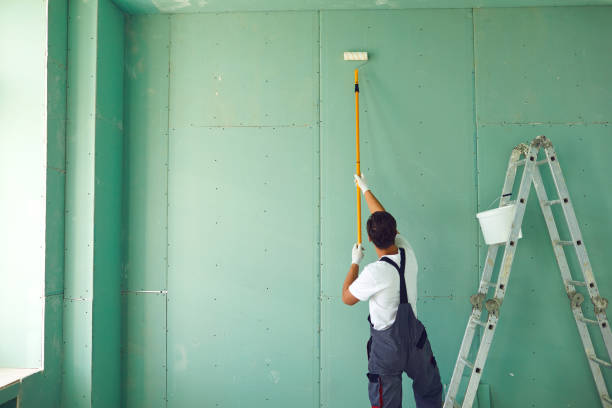Best Black Mold Removal  in Rosemount, MN