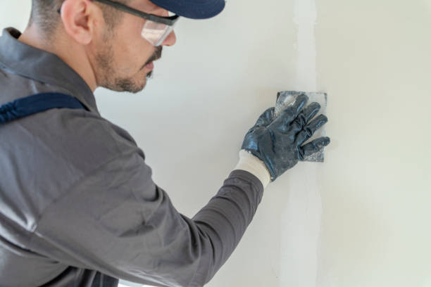 Best Dehumidification Services  in Rosemount, MN