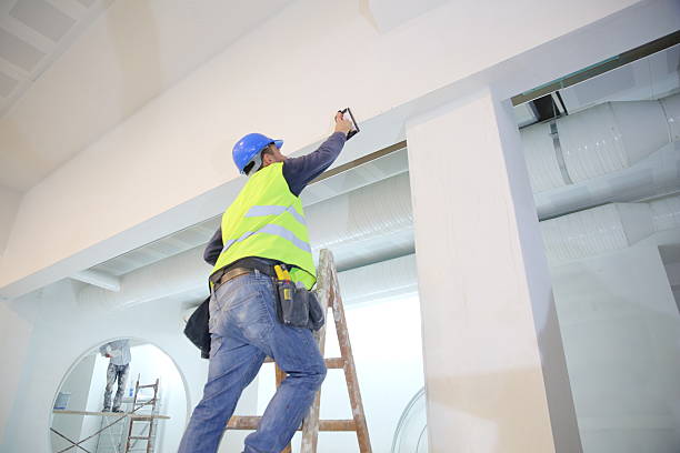  Rosemount, MN Mold Removal Pros