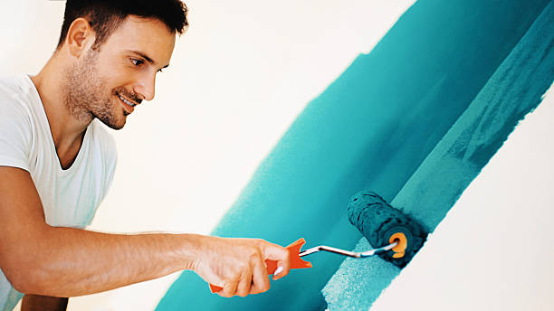 Best Mold Removal for HVAC Installations  in Rosemount, MN