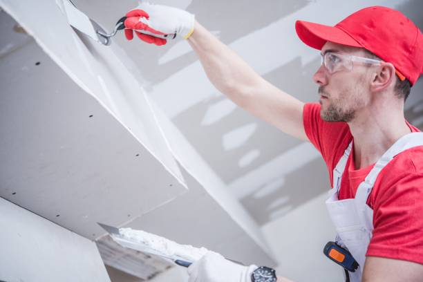 Best Real Estate Mold Inspection  in Rosemount, MN